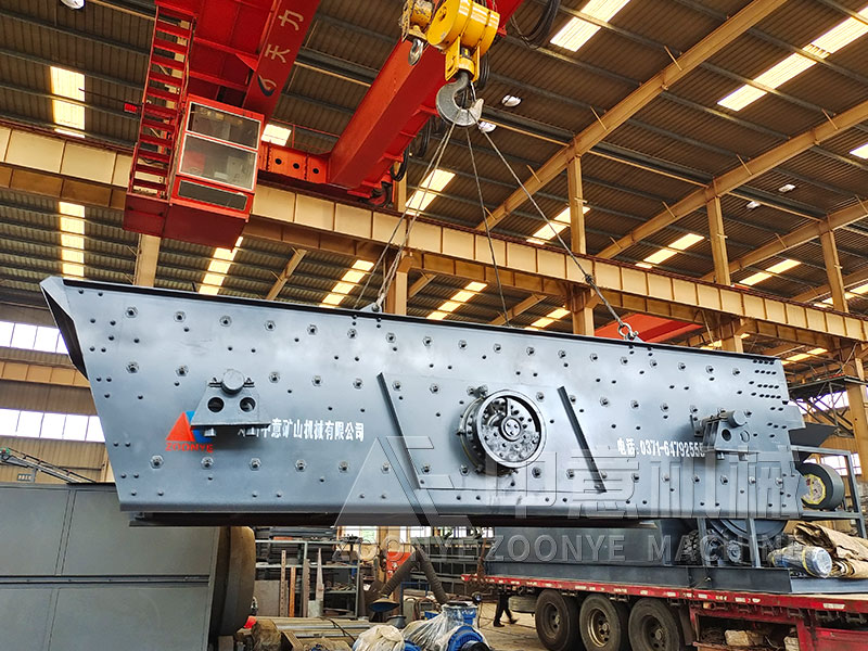 礦物垃圾分選處理成套設(shè)備振動(dòng)篩實(shí)地工廠圖片 礦物垃圾分選處理成套設(shè)備振動(dòng)篩實(shí)地工廠圖片